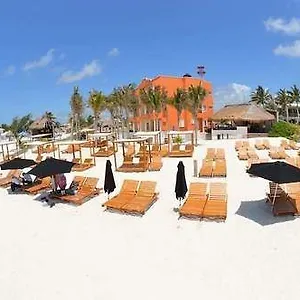 https://cielo-beach-hotel-puerto-morelos.quintano-roohotels.com